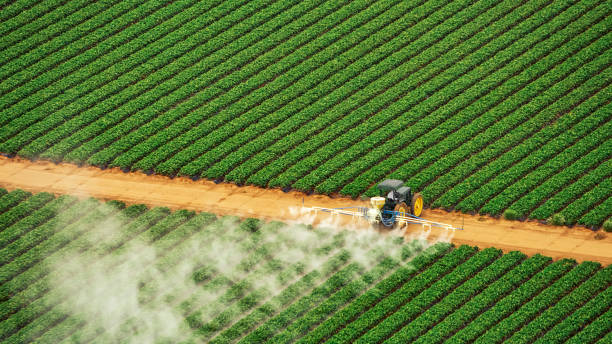 Best Mosquito Control Services  in Ocean Pointe, HI