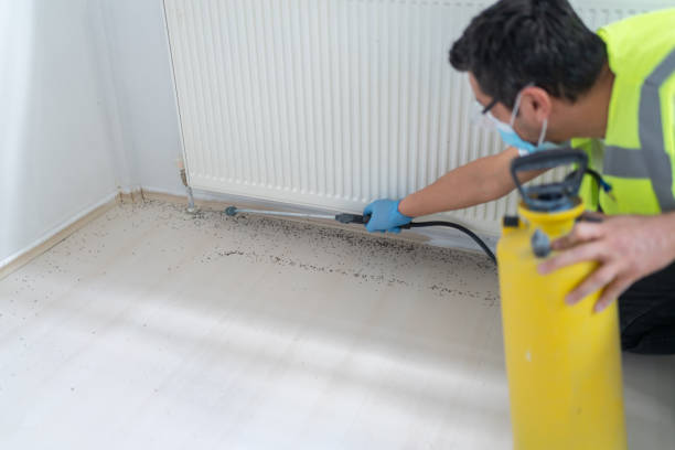 Best Affordable Pest Control Services  in Ocean Pointe, HI